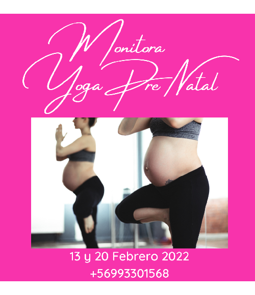 monitorWeb (1)